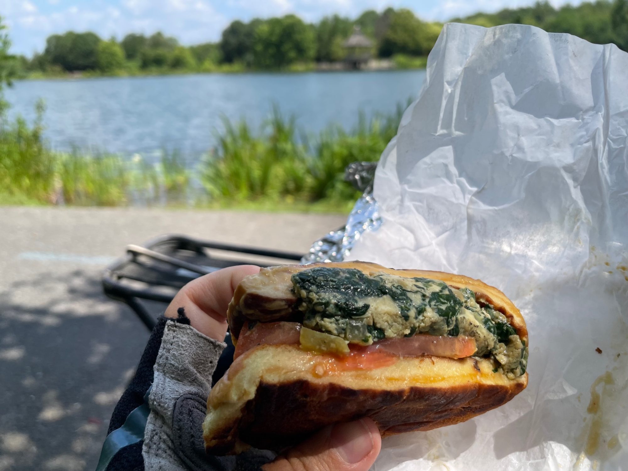 Egg Sammie by the lake